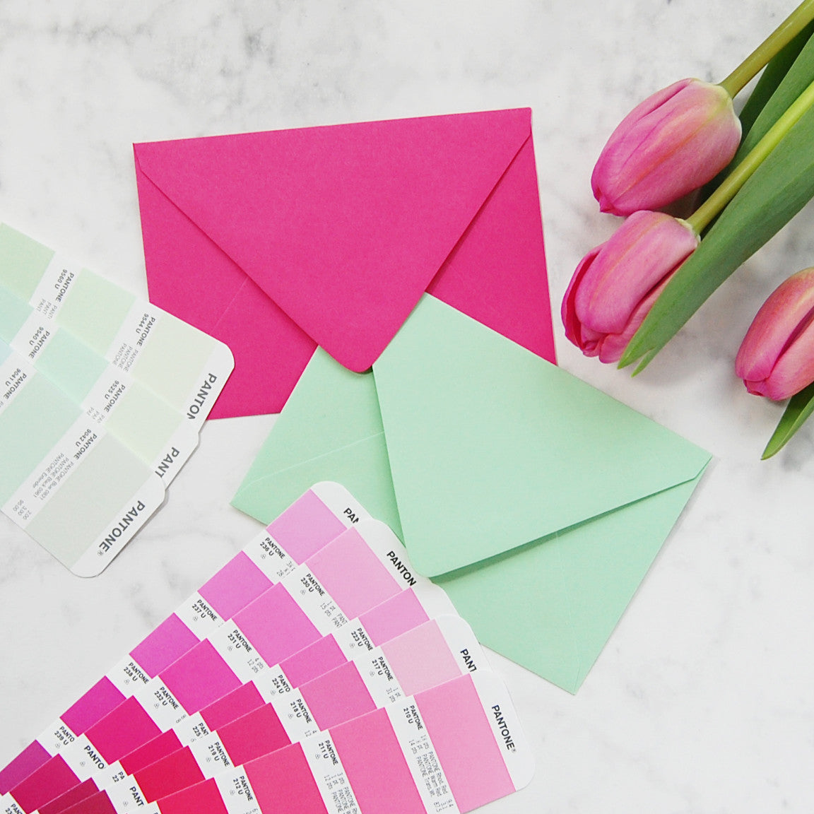 Color Combo - Mint and Fuchsia - Silhouette Blue Stationery