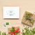 Rejoice Holiday Card Set of 10